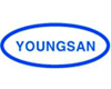 Компания Youngsan
